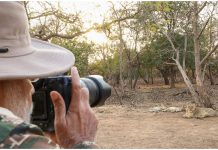 PM Modi Lion Safari