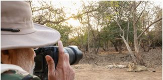 PM Modi Lion Safari